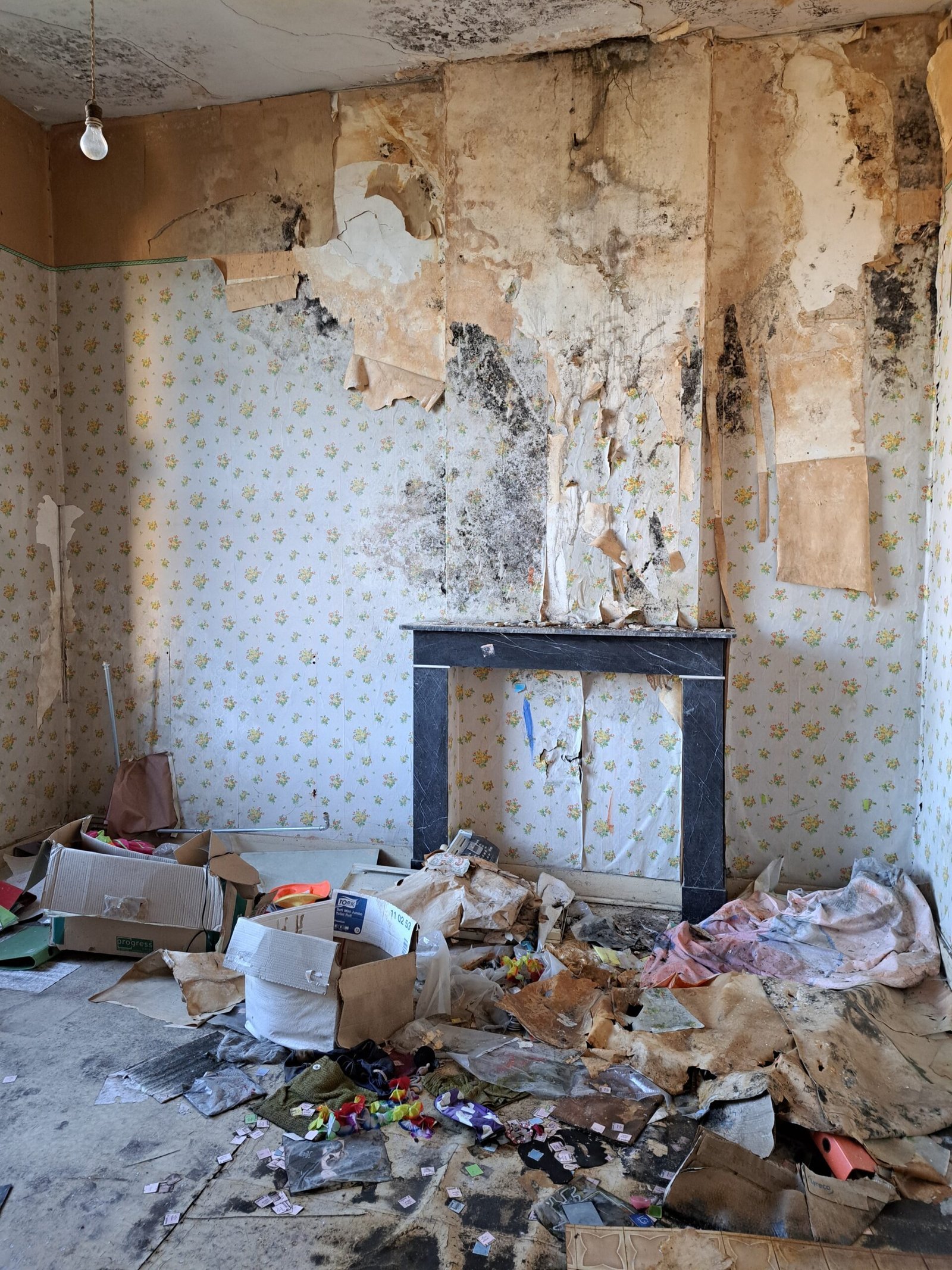 Ecole Coloré - Imagen 3