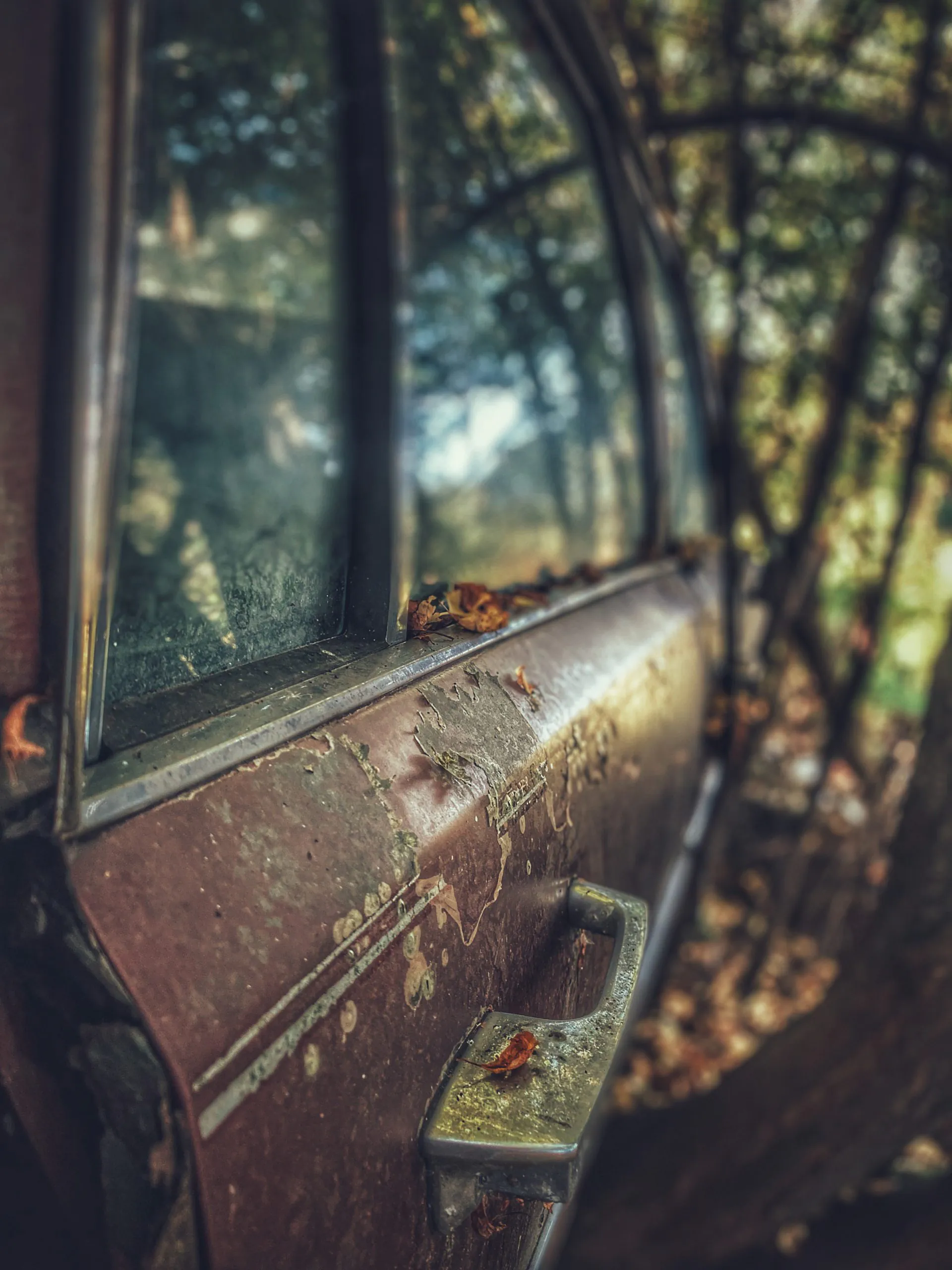 Die Autosammlung