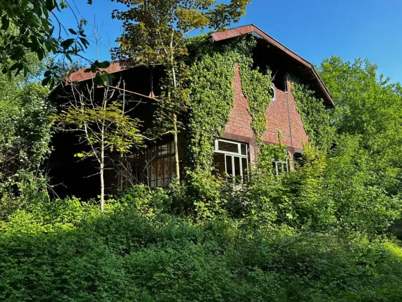 Brewery C