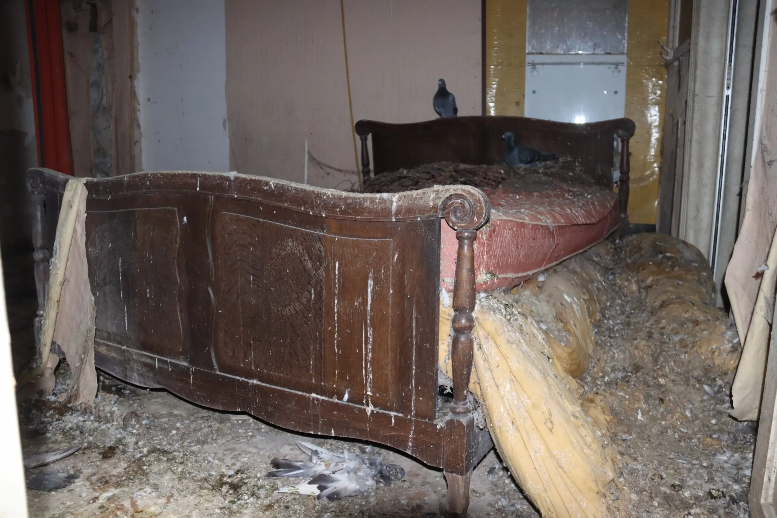 Hotel Pigeon - immagine 2