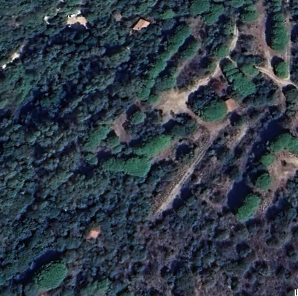 Overgrown Camping Roc
